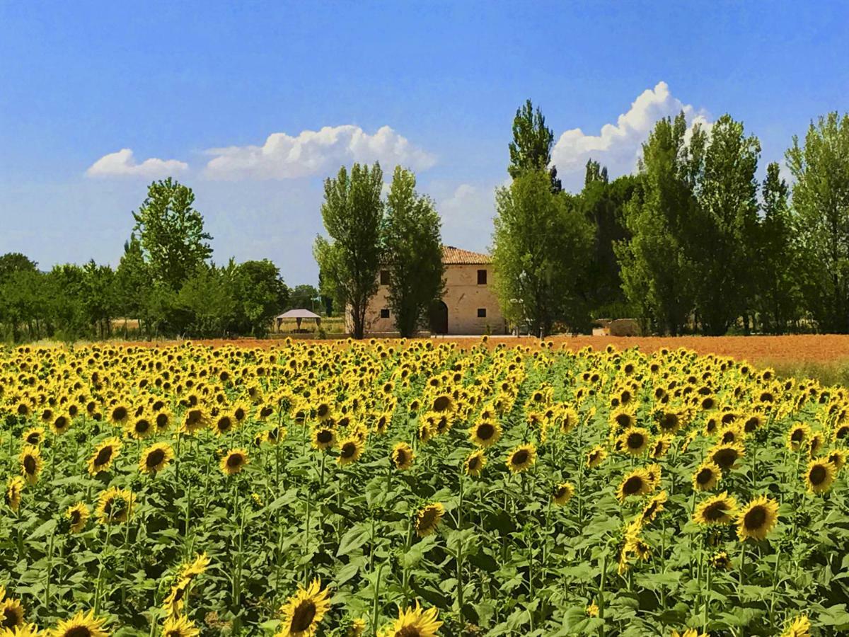 Villa Licinia Foligno Exterior photo